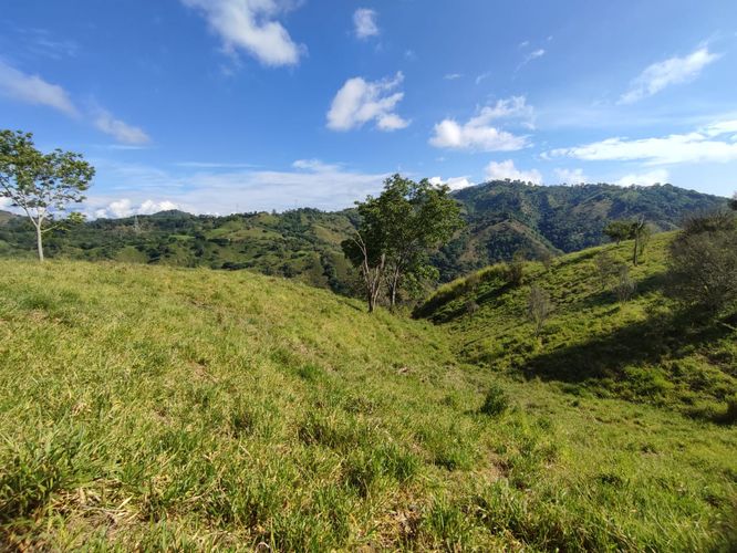 Lote en venta en Cerritos, Pereira · foto 19 de 24