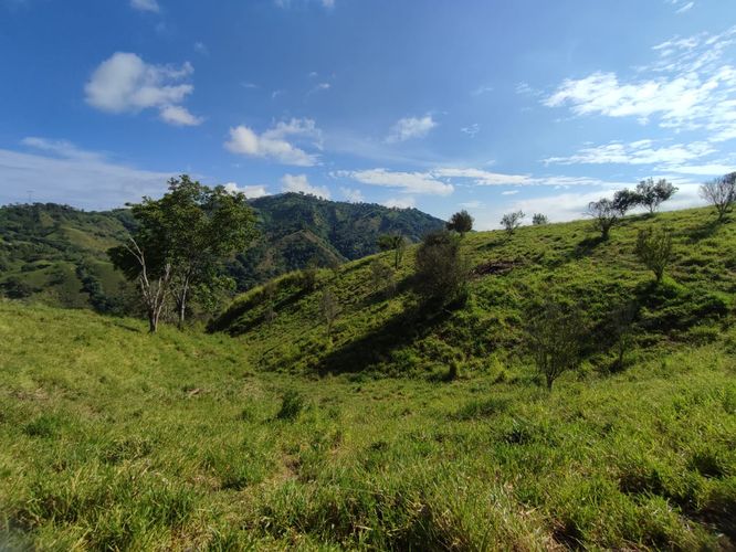 Lote en venta en Cerritos, Pereira · foto 20 de 24
