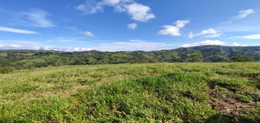Lote en venta en Cerritos, Pereira · foto 21 de 24