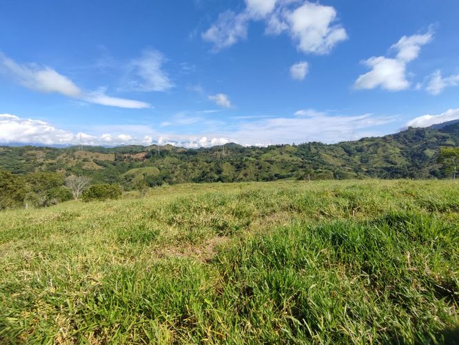 Lote en venta en Cerritos, Pereira · foto 22 de 24