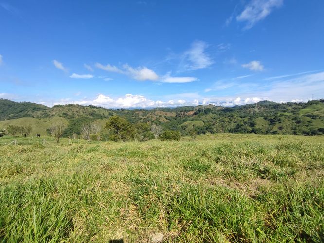 Lote en venta en Cerritos, Pereira · foto 23 de 24