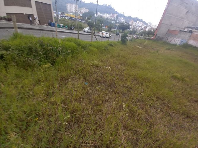 Lote en venta en Los Laureles, Manizales, 916 m² · foto 3 de 24