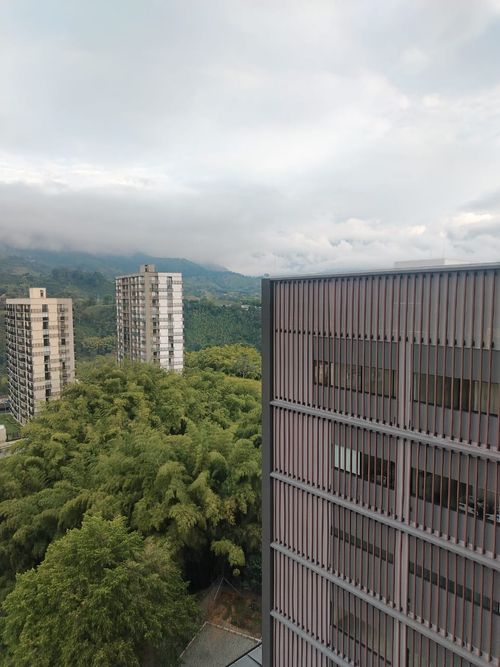 Consultorio en arriendo en Centenario, Armenia, 33 m² · foto 8 de 22