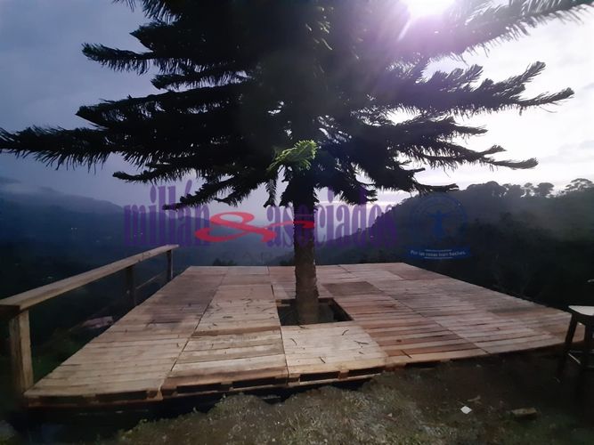 Finca en venta en Combia, Pereira, 1000 m² · foto 11 de 24