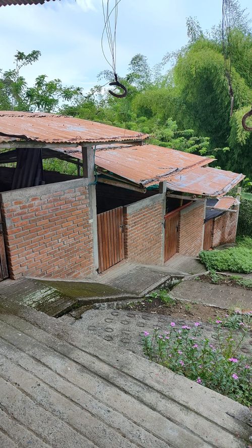 Finca en venta en Sector Parque Valencia, Armenia, 1500 m² · foto 15 de 24