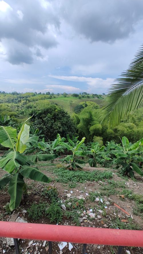 Finca en venta en Sector Parque Valencia, Armenia, 1500 m² · foto 18 de 24
