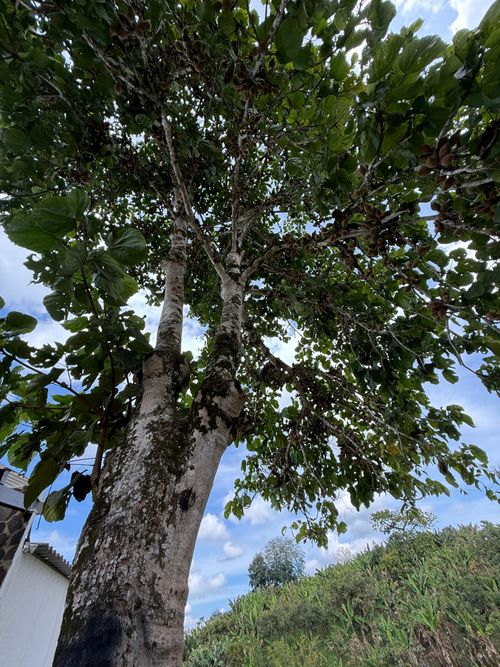 Lote en venta en Altagracia, Pereira · foto 2 de 14