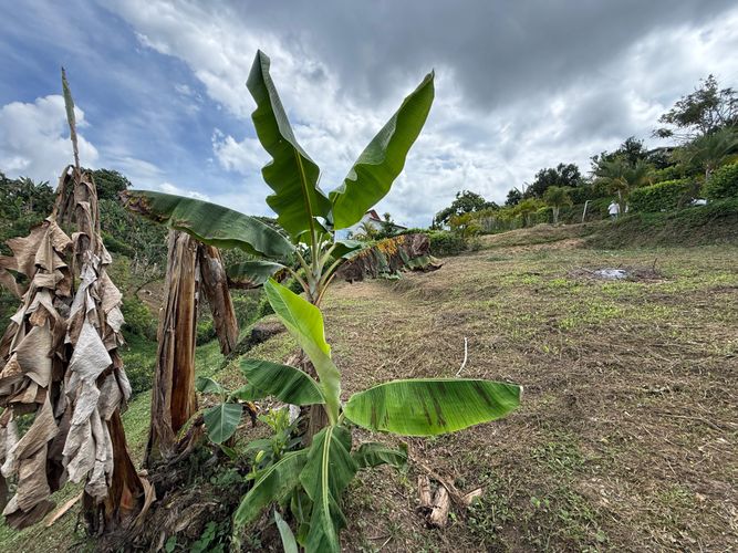 Lote en venta en Altagracia, Pereira · foto 5 de 14