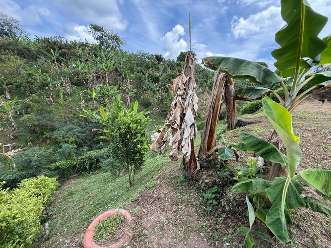 Lote en venta en Altagracia, Pereira · foto 6 de 14