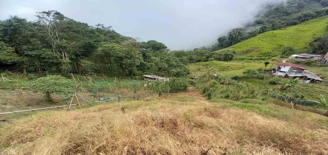 Lote en venta en Morrogacho Parte, Manizales · foto 3 de 24