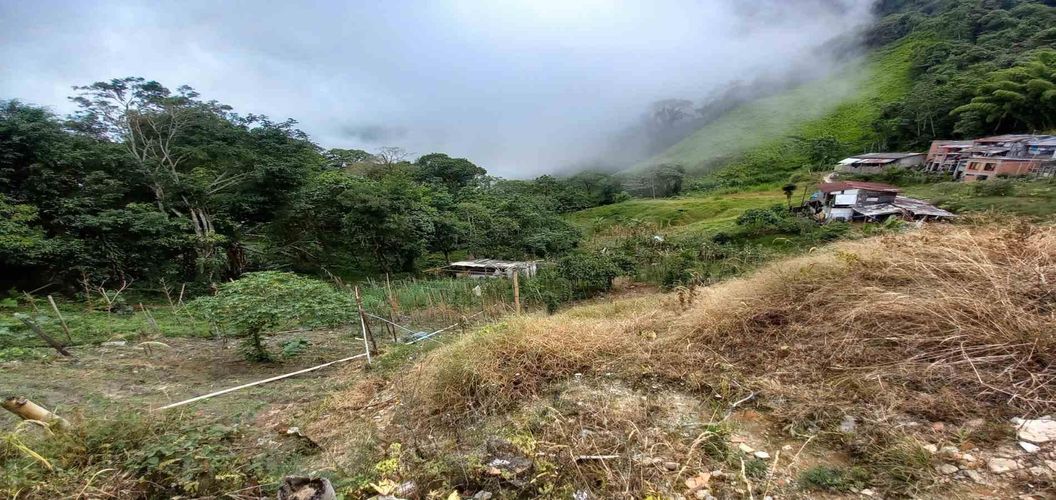 Lote en venta en Morrogacho Parte, Manizales · foto 22 de 24