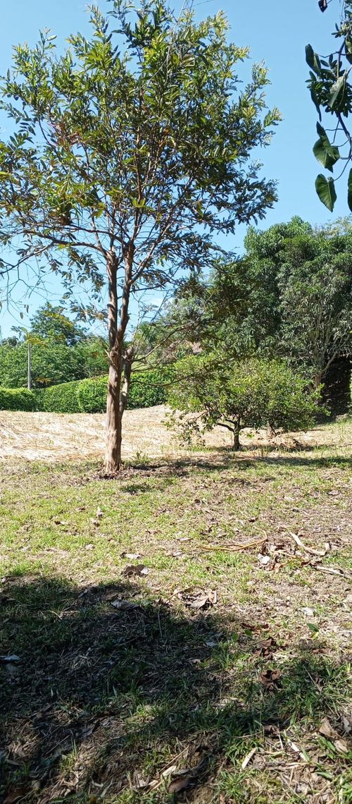 Lote en venta en El Rio, Manizales · foto 2 de 11
