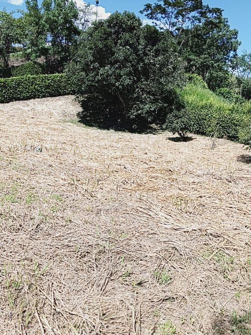 Lote en venta en El Rio, Manizales · foto 4 de 11