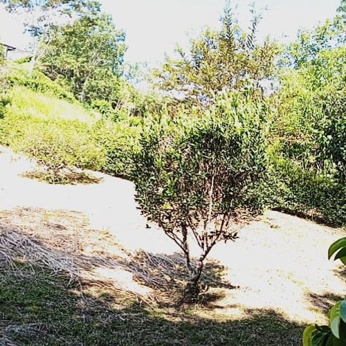 Lote en venta en El Rio, Manizales · foto 5 de 11