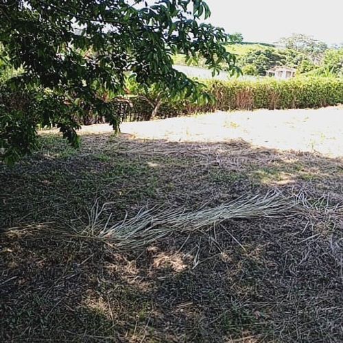 Lote en venta en El Rio, Manizales · foto 7 de 11