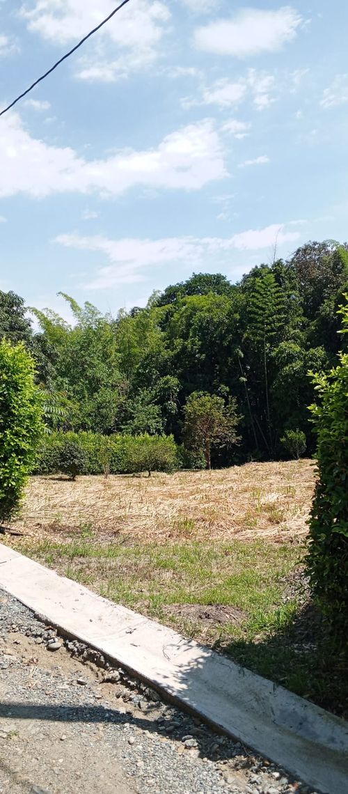 Lote en venta en El Rio, Manizales · foto 10 de 11