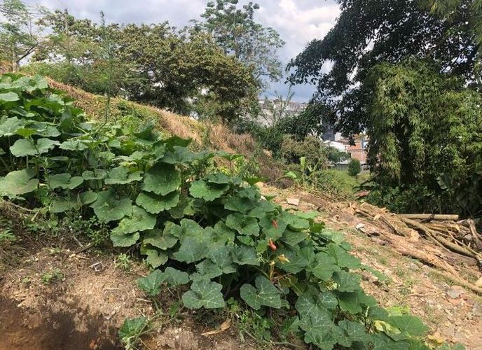Lote en venta en Maraya, Pereira, 1642 m² · foto 2 de 11