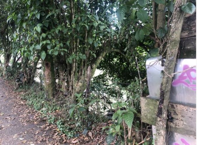 Lote en venta en Maraya, Pereira, 1642 m² · foto 6 de 11
