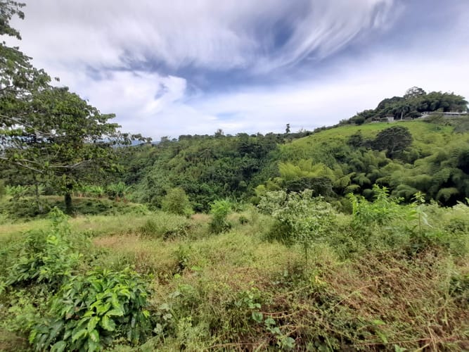 Lote en venta en Arabia, Pereira · foto 8 de 23