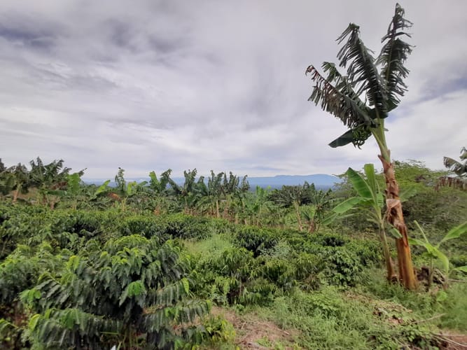 Lote en venta en Arabia, Pereira · foto 11 de 23