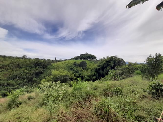 Lote en venta en Arabia, Pereira · foto 14 de 23