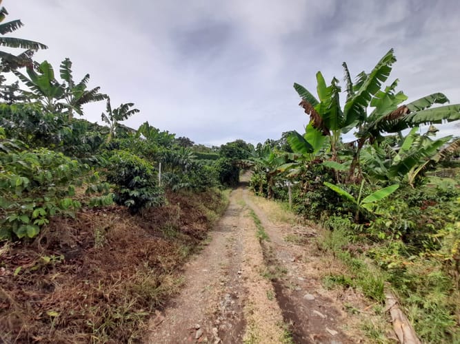 Lote en venta en Arabia, Pereira · foto 15 de 23