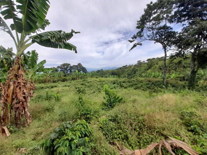 Lote en venta en Arabia, Pereira · foto 20 de 23
