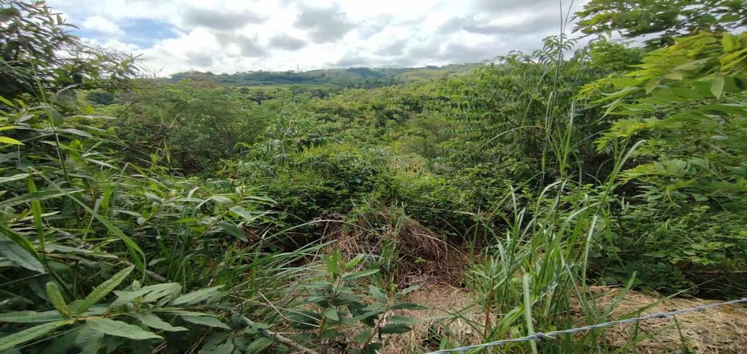 Lote en venta en Cerritos, Pereira · foto 2 de 15