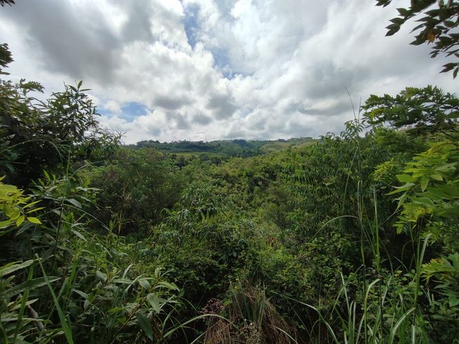 Lote en venta en Cerritos, Pereira · foto 4 de 15