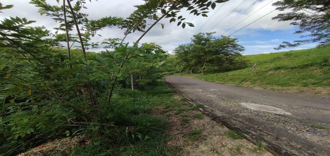 Lote en venta en Cerritos, Pereira · foto 5 de 15