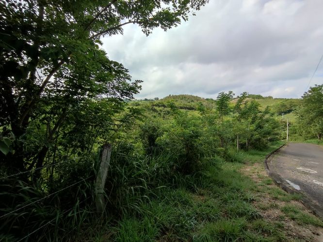 Lote en venta en Cerritos, Pereira · foto 6 de 15
