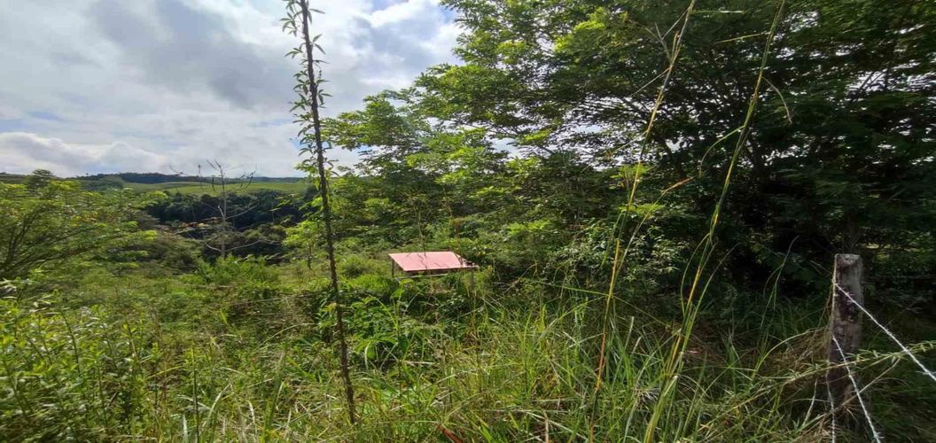 Lote en venta en Cerritos, Pereira · foto 7 de 15
