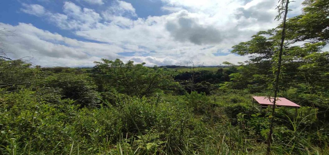 Lote en venta en Cerritos, Pereira · foto 8 de 15