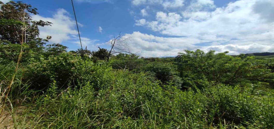 Lote en venta en Cerritos, Pereira · foto 9 de 15