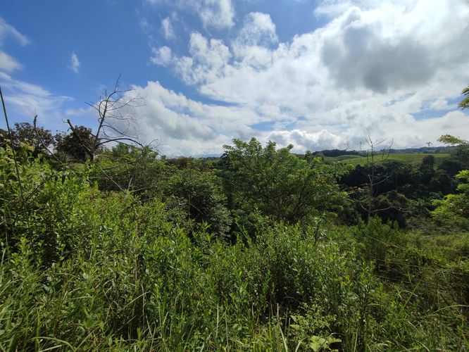 Lote en venta en Cerritos, Pereira · foto 10 de 15