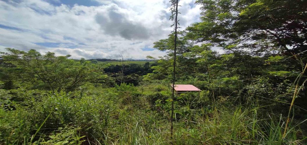 Lote en venta en Cerritos, Pereira · foto 11 de 15