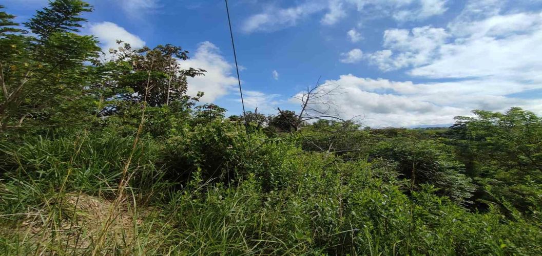 Lote en venta en Cerritos, Pereira · foto 12 de 15