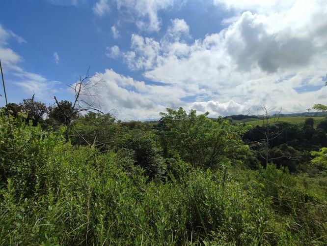 Lote en venta en Cerritos, Pereira · foto 13 de 15