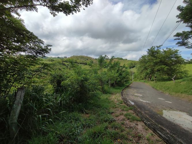 Lote en venta en Cerritos, Pereira · foto 14 de 15