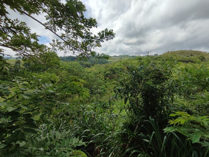 Lote en venta en Cerritos, Pereira · foto 15 de 15