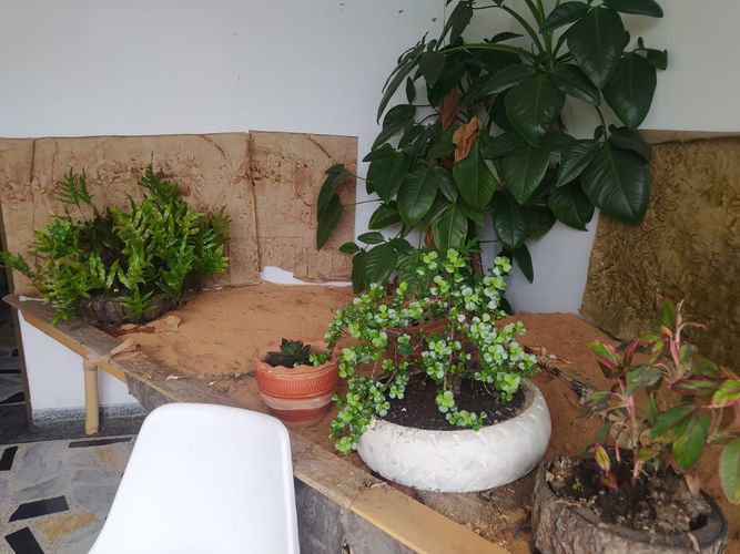 Casa en venta en San Jose Sur, Pereira · foto 17 de 24