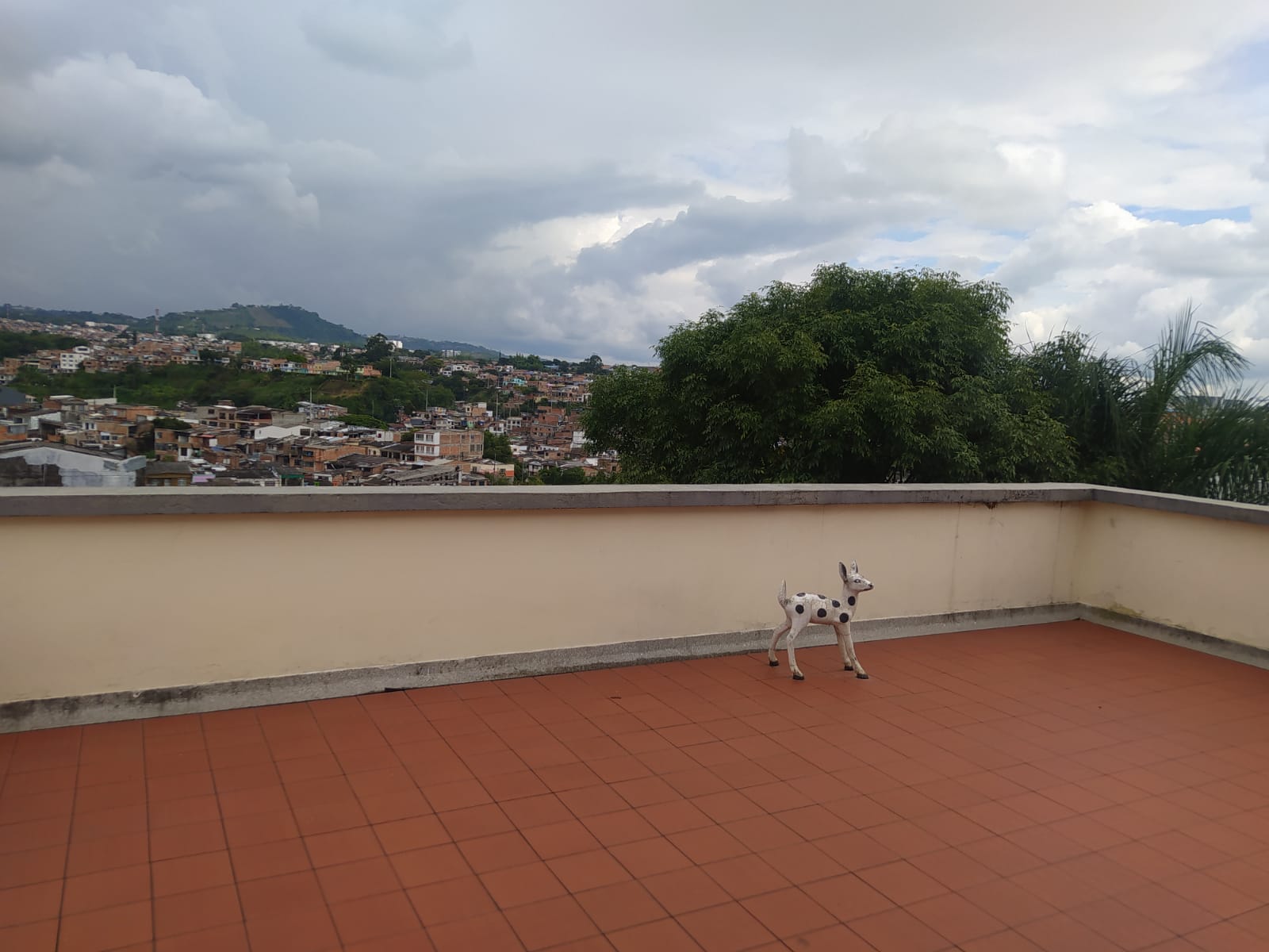 Casa en venta en San Jose Sur, Pereira · foto 24 de 24