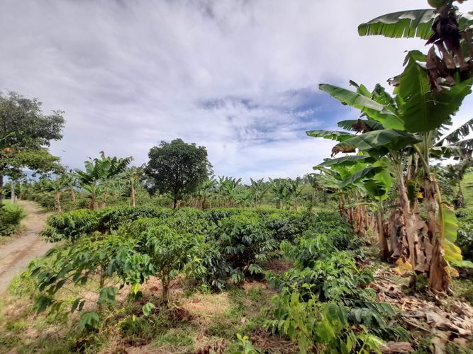 Lote en venta en Arabia, Pereira · foto 3 de 23