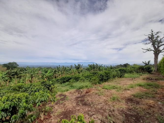Lote en venta en Arabia, Pereira · foto 9 de 23