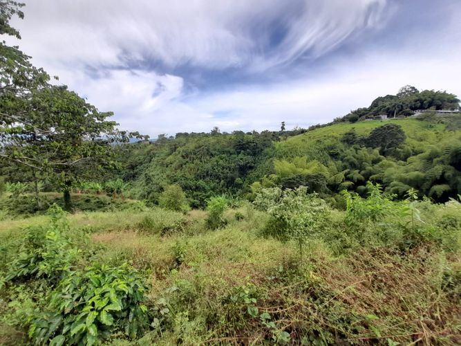 Lote en venta en Arabia, Pereira · foto 18 de 23