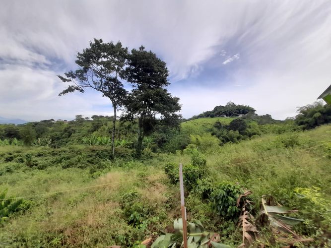 Lote en venta en Arabia, Pereira · foto 19 de 23