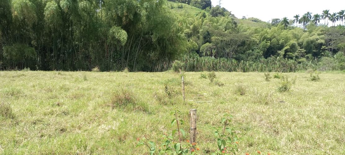 Lote en venta en El Rosario, Manizales, 500 m² · foto 2 de 5