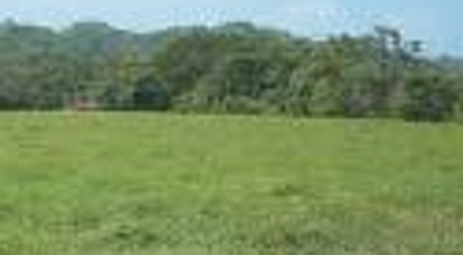 Lote en venta en El Rosario, Manizales, 500 m² · foto 3 de 5