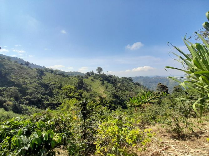 Lote en venta en La Aurora, Manizales · foto 2 de 24