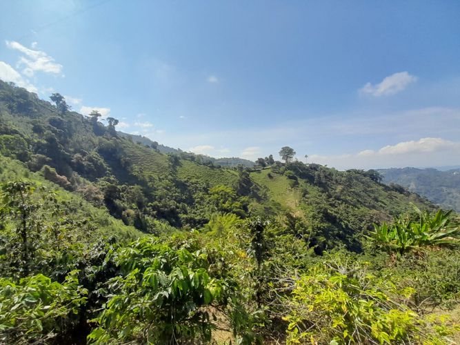 Lote en venta en La Aurora, Manizales · foto 3 de 24